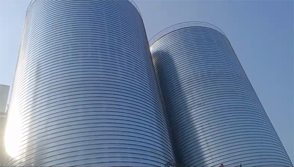 鸡东2座混凝土高架卷板仓